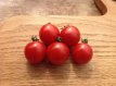 ZTOTGBI Tomate Bistro 10 semillas TessGruun