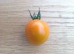 ZTOTGBISUSE Tomato Big Sungold Select 10 seeds TessGruun