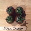 ZTOTGBLCHBIO Tomato Black Cherry 10 ORGANIC seeds TessGruun