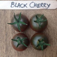 ZTOTGBLCHBIO Tomato Black Cherry 10 ORGANIC seeds TessGruun