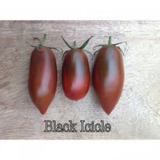 ZTOTGBLIC Tomate Black Icicle 10 graines TessGruun