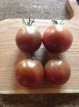 ZTOTGBLPE20 Tomate Black Pear 10 semillas TessGruun