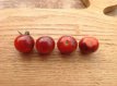 ZTOTGBLUBER Tomaat Blue Berries 10 zaden TessGruun