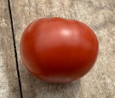 ZTOTGBODEVE Tomate Boule de Venus 10 graines