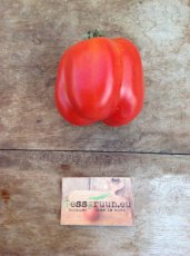 Tomato Burgess Stuffing 10 seeds TessGruun