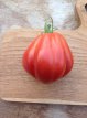 ZTOTGCDBDN Tomate Coeur De Boeuf De Nice 10 semillas TessGruun