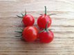 ZTOTGCHCA Tomato Cherry Cascade 10 seeds TessGruun