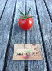ZTOTGCHCHBIO Tomato Chadwick Cherry 10 ORGANIC seeds TessGruun