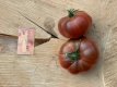 ZTOTGCHDUBE Tomate Charbonnière du Berry 10 semillas TessGruun