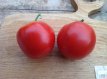 ZTOTGCR Tomate Créole 10 semillas TessGruun