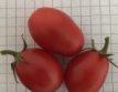 ZTOTGCROVA Tomate Crovarese 10 semillas