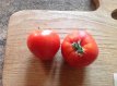 ZTOTGDA Tomato Danko 10 seeds TessGruun