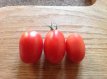 ZTOTGDEBE Tomate De Berao 10 semillas TessGruun