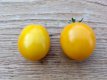 ZTOTGDU Tomate Dulcia 10 semillas TessGruun