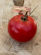 ZTOTGERDAU Tomate Erika d'Australie 10 semillas TessGruun