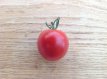 ZTOTGFLO Tomaat Floradade 10 zaden TessGruun