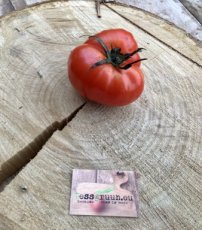 ZTOTGFLORIB Tomate Florence Ribbed 10 semillas