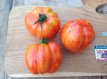 ZTOTGFO Tomate Forshmak 10 graines TessGruun