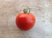 ZTOTGGAR Tomato Gartenperle 10 seeds TessGruun
