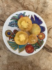 ZTOTGGORO Tomate Gold Roma 10 semillas TessGruun