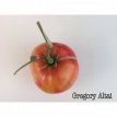 ZTOTGGRAL Tomate Gregori’s Altai 10 semillas TessGruun