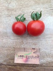 ZTOTGMIN Tomate Minibel 10 graines TessGruun