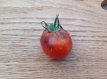 ZTOTGORBL Tomato Orange Blue 10 seeds TessGruun