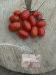 ZTOTGSPR Tomate Sprite 5 graines TessGruun