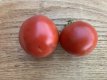 ZTOTGTH Tomato Thessaloniki 10 seeds TessGruun