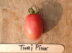 Tomaat Thai Pink 5 zaden TessGruun
