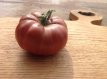 ZTOTGTUMU Tomato Turks Muts 10 seeds TessGruun