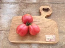 ZTOTGUKPE Tomate Ukrainian Pear 10 semillas TessGruun