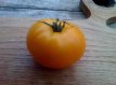 ZTOTGVDE Tomato V Desjatku 10 seeds TessGruun