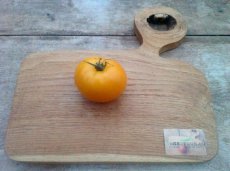 ZTOTGVDE Tomate V Desjatku 10 semillas TessGruun