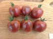 ZTOTGVIJA Tomate Violet Jasper 10 semillas TessGruun