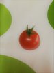 ZTOTGWIBORO Tomate Window Box Red 10 semillas TessGruun