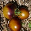 ZTOTLBEDECO Tomato Belle de Coeur ORGANIC 10 seeds