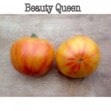 ZTOTGBEQU Tomate Beauty Queen 5 semillas TessGruun