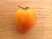 ZTOTGCODBOBI Tomato Coeur de Boeuf Bicolor 10 seeds TessGruun