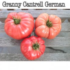 ZTOTGGRCAGE Tomate Granny Cantrell German 10 graines TessGruun