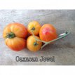 ZTOTGJODOA Tomate Joyau d'Oaxaca 10 graines TessGruun