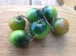 Tomate Beryl Dwarf Beauty 10 graines TessGruun