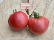 ZTOWTAMPI Tomato Amish Pink 5 seeds