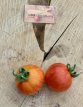 ZTOWTAVURI Tomate Avuri 5 graines