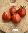 ZTOWTBIREPE Tomate Big Red Pear 10 graines