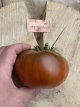 ZTOWTBLFRSA Tomato Black from Santiago 10 seeds
