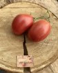 ZTOWTCDBRO Tomate Coeur De Boeuf Rose 10 graines