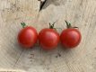 ZTOWTCEBRDEMU Tomato Cerisette Brin de Muguet 10 seeds