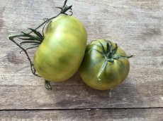 ZTOWTCHGRE Tomate Cherokee Green 5 samen