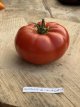 ZTOWTCODICH Tomate Costoluto di Chivasso/Chivassa 10 graines
